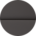 Interior color black