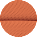 Interior color orange