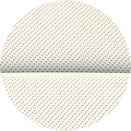 Interior color white