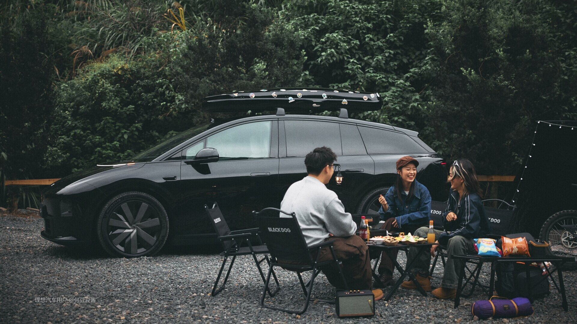 Roof rack Li i6