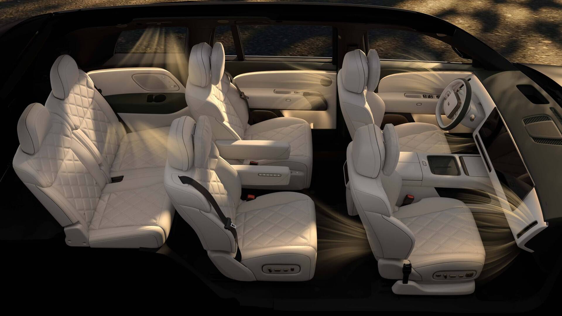 Climate control Li l9 Livis
