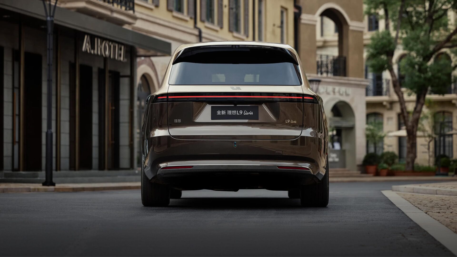 Rear view Li L9 livis